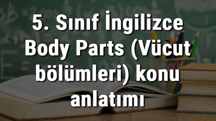 5. Sınıf İngilizce Body Parts (Vücut bölümleri) konu anlatımı
