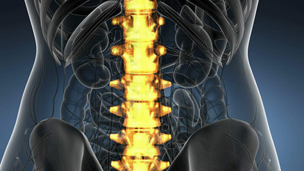 Fıtık hastalığı nedir