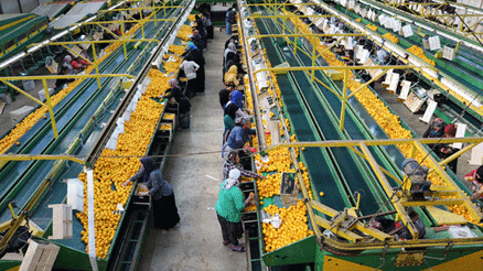 İHRACATÇININ GÜMRÜK ÇİLESİ