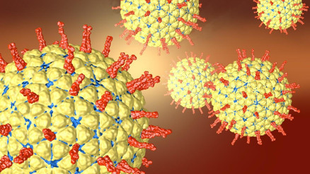 Rota virüsü nedir, nasıl bulaşır İşte rota virüsü aşısı ve belirtileri