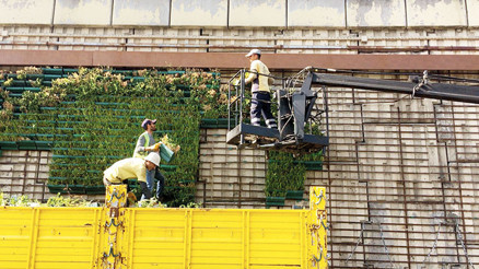 Hürriyet önerdi İBB kayıtsız kalmadı Dikey bahçe yerine sarmaşık
