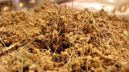 Ihlamur fiyatlarında yükseliş Fiyatları altınla yarışıyor