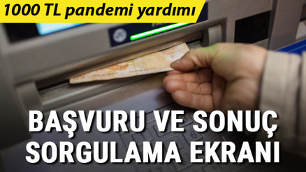 Sosyal yardım: 1000 TL pandemi ödemesi başvuru ve sorgulama ekranı.. E-Devlet sosyal yardım başvurusu T.C kimlik no ile nasıl yapılır
