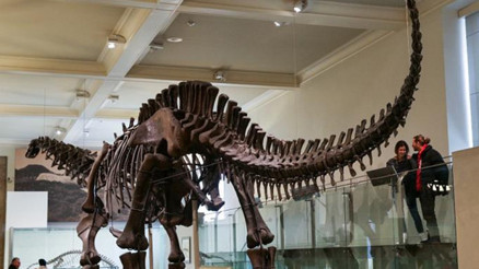 Arjantinde 70 milyon yıllık dinozor kalıntıları bulundu