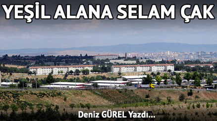 Ekolojik alan ihtiyacının çıkış yolu: Askeri alanlar