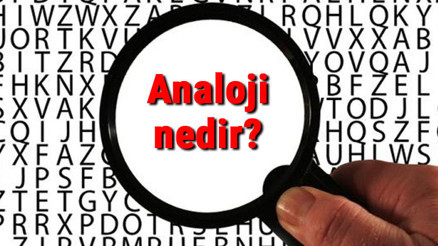 Analoji nedir Benzeşim ne demek Analoji türleri ve örnekleri