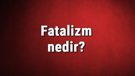 Fatalizm nedir Kadercilik ne demek Felsefede Fatalizm (yazgıcılık) akımı özellikleri, kurucusu ve temsilcileri Fatalizm nedir Kadercilik ne demek Felsefede Fatalizm (yazgıcılık) akımı özellikleri, kurucusu ve temsilcileri