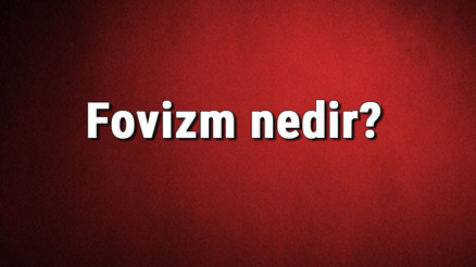Fovizm nedir Fovizm sanat akımı kurucusu, örnekleri, eserleri ve temsilcileri hakkında bilgi Fovizm nedir Fovizm sanat akımı kurucusu, örnekleri, eserleri ve temsilcileri hakkında bilgi