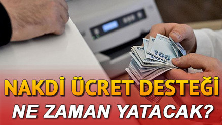 Nakdi ücret desteği ne zaman yatacak İŞKUR Ekim ayı nakdi ücret desteği (ücretsiz izin desteği) sorgulama ekranı