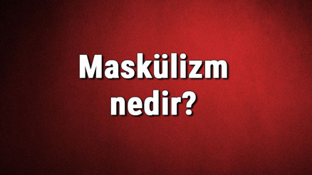 Maskülizm nedir Maskülist ne demek Maskülizm akımı özellikleri, kurucusu ve temsilcileri
