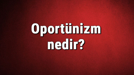 Oportünizm nedir Fırsatçılık ne demek Oportnizm hakkında bilgi