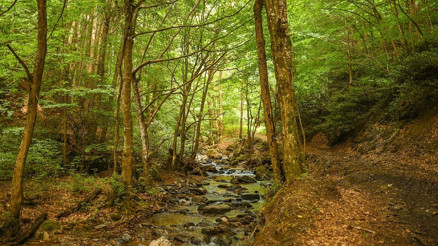 Bir haradan daha fazlası... Karacabey
