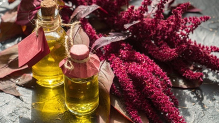 Skualen (Squalene) Yağı Nedir Skualen Yağının Cilde Faydaları Nelerdir