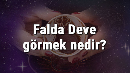 Falda Deve görmek nedir Kahve falında deve görmenin anlamı