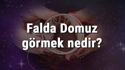 Falda Domuz görmek nedir Kahve falında domuz görmenin anlamı