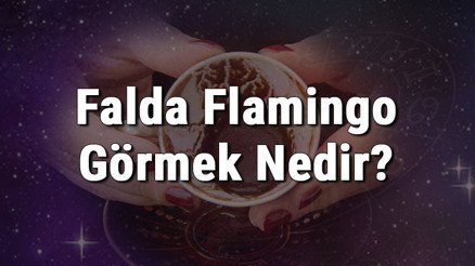 Falda Flamingo görmek Nedir Kahve falında flamingo görmenin anlamı