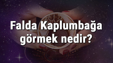 Falda Kaplumbağa görmek nedir Kahve falında kaplumbağa görmenin anlamı Falda Kaplumbağa görmek nedir Kahve falında kaplumbağa görmenin anlamı
