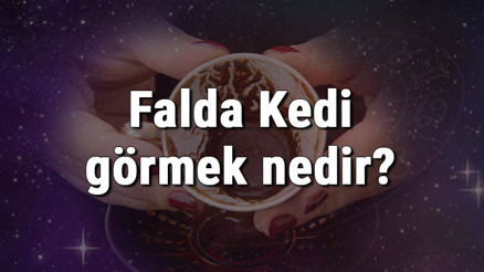 Falda Kedi görmek nedir Kahve falında kedi görmenin anlamı