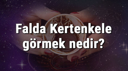 Falda Kertenkele görmek nedir Kahve falında kertenkele görmenin anlamı Falda Kertenkele görmek nedir Kahve falında kertenkele görmenin anlamı