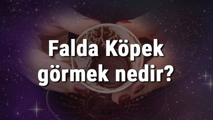 Falda Köpek görmek nedir Kahve falında köpek görmenin anlamı Falda Köpek görmek nedir Kahve falında köpek görmenin anlamı