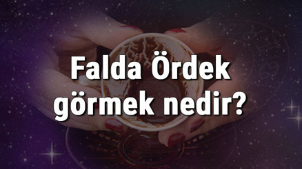 Falda Ördek görmek nedir Kahve falında ördek görmenin anlamı