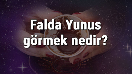 Falda Yunus görmek nedir Kahve falında yunus görmenin anlamı Falda Yunus görmek nedir Kahve falında yunus görmenin anlamı