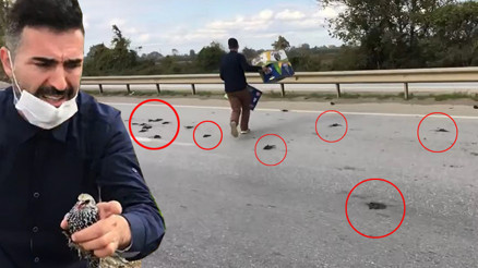 Son dakika haberler: Sakaryada esrarengiz kuş ölümleri Harekete geçildi...