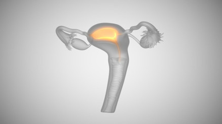 Genital Estetik Operasyonu Hakkında Tüm Merak Edilen Soru ve Cevaplar