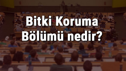 Bitki Koruma Bölümü nedir ve mezunu ne iş yapar Bölümü olan üniversiteler, dersleri ve iş imkanları Bitki Koruma Bölümü nedir ve mezunu ne iş yapar Bölümü olan üniversiteler, dersleri ve iş imkanları