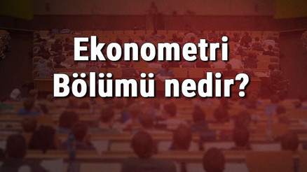 Ekonometri Bölümü nedir ve mezunu ne iş yapar Bölümü olan üniversiteler, dersleri ve iş imkanları
