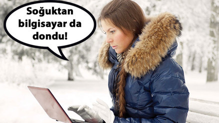 Ayıdan post, evden ofis olmayabiliyor