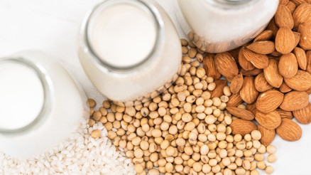 Bitkisel Protein Kaynakları