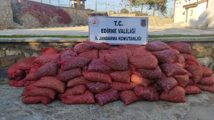 Edirne’de 3 ton kaçak midye ele geçirildi