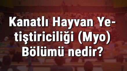 Kanatlı Hayvan Yetiştiriciliği (Myo) Bölümü nedir ve mezunu ne iş yapar Bölümü olan üniversiteler, dersleri ve iş imkanları Kanatlı Hayvan Yetiştiriciliği (Myo) Bölümü nedir ve mezunu ne iş yapar Bölümü olan üniversiteler, dersleri ve iş imkanları