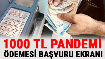 1000 TL Pandemi (sosyal yardım ödemesi): Başvuru şartları ve sonuç sorgulama ekranı.. E-Devletten T.C kimlik no ile başvuru sayfası