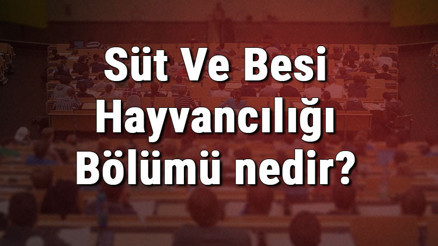 Süt Ve Besi Hayvancılığı Bölümü nedir ve mezunu ne iş yapar Bölümü olan üniversiteler, dersleri ve iş imkanları Süt Ve Besi Hayvancılığı Bölümü nedir ve mezunu ne iş yapar Bölümü olan üniversiteler, dersleri ve iş imkanları