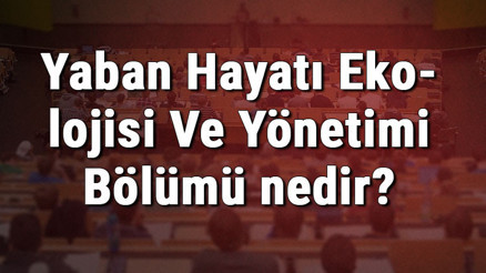 Yaban Hayatı Ekolojisi Ve Yönetimi Bölümü nedir ve mezunu ne iş yapar Bölümü olan üniversiteler, dersleri ve iş imkanları Yaban Hayatı Ekolojisi Ve Yönetimi Bölümü nedir ve mezunu ne iş yapar Bölümü olan üniversiteler, dersleri ve iş imkanları