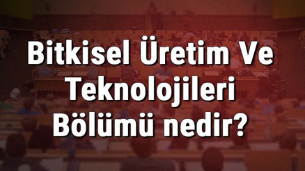 Bitkisel Üretim Ve Teknolojileri Bölümü nedir ve mezunu ne iş yapar Bölümü olan üniversiteler, dersleri ve iş imkanları Bitkisel Üretim Ve Teknolojileri Bölümü nedir ve mezunu ne iş yapar Bölümü olan üniversiteler, dersleri ve iş imkanları