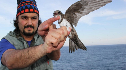 Akkarınlı ebabiller, 3 bin kilometreyi 58 saatte katetti Akkarınlı ebabiller, 3 bin kilometreyi 58 saatte katetti