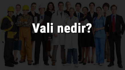 Vali nedir, ne iş yapar ve nasıl olunur Vali olma şartları, maaşları ve iş imkanları