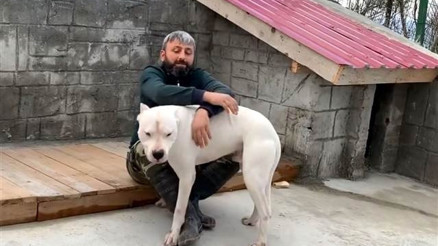 El konulan ’yasak ırk’ üç köpeği için her gün 160 kilometre yol gidiyor El konulan ’yasak ırk’ üç köpeği için her gün 160 kilometre yol gidiyor