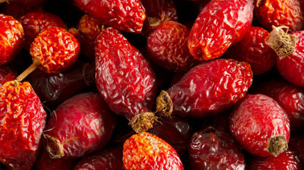 Bağışıklığı güçlendiriyor, hastalıklardan koruyor Kuşburnu, tam bir C vitamini deposu