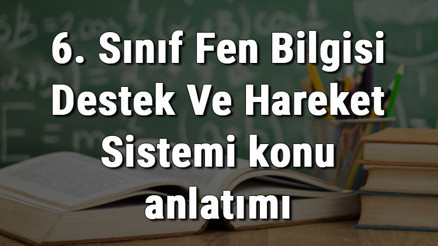 6. Sınıf Fen Bilgisi Destek Ve Hareket Sistemi konu anlatımı 6. Sınıf Fen Bilgisi Destek Ve Hareket Sistemi konu anlatımı