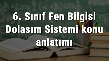 6. Sınıf Fen Bilgisi Dolaşım Sistemi konu anlatımı 6. Sınıf Fen Bilgisi Dolaşım Sistemi konu anlatımı