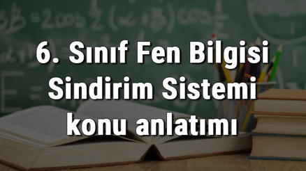 6. Sınıf Fen Bilgisi Sindirim Sistemi konu anlatımı