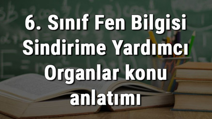 6. Sınıf Fen Bilgisi Sindirime Yardımcı Organlar konu anlatımı