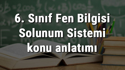 6. Sınıf Fen Bilgisi Solunum Sistemi konu anlatımı 6. Sınıf Fen Bilgisi Solunum Sistemi konu anlatımı