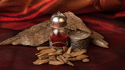 Udi Hindi Bitkisi ve Yağının Kullanım Alanları