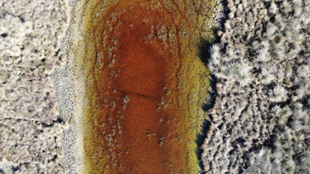 Kızılırmak Deltası kuruyor