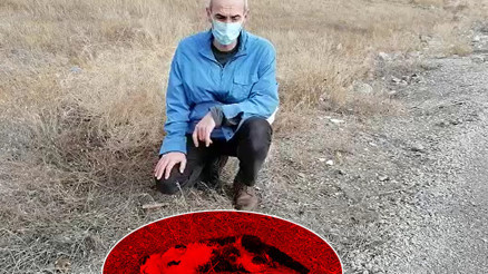 Çorumda tepki çeken olay Patileri kesilmiş halde bulundu...